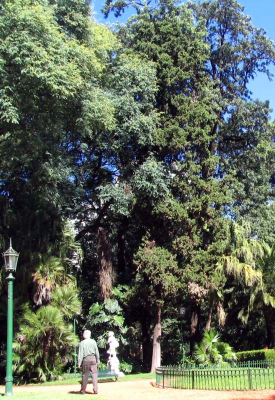 Botanical Garden Buenos Aires