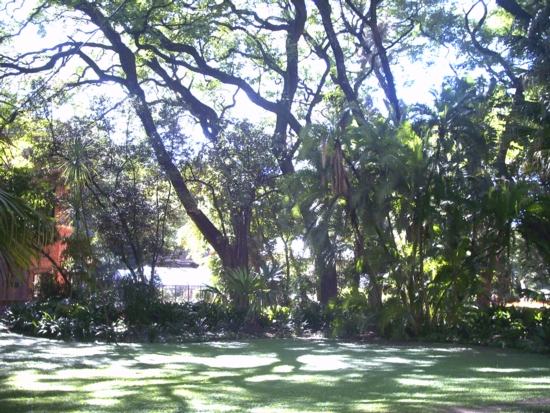 Botanical Garden Buenos Aires
