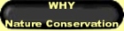 Why Nature Conservation? Why to keep Earth beautiful? Bear Springs Blossom Nature Conservation protects Nature to save Earth! Nature conservation through online Nature education with the goal to protect humans is the only solution to keep Nature beautiful