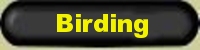 Nature conservation facts: Birders like Birding on birding trails. Texas Hill Country guided tours invite nature lovers. Golden cheeked Warbler, an endangered bird breeding only in the Texas Hill Country, see tanager, wren, mocking bird, tit mouse, native + migrating birds at B*S*B nature preserve