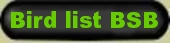 birdlist of native birds seen while birding, walking our birding trails on guided tours in the Texas Hill Country. See the Golden cheeked Warbler, red tailed hawk, hummingbirds, Mockingbird