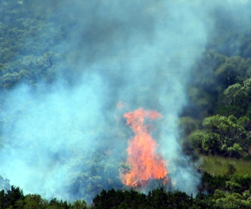 once Earth was covered by forests.
rain forest everywhere on Earth are endangered - already over half of rain-forests are destroyed. Earth's rain forest balance Earth climate. Nature was balanced, wildlife was balanced, biodiversity allowed life to evolve.
Now over half of all forests are destroyed. Half of all species are extinct. Balanced Nature does not exist anymore