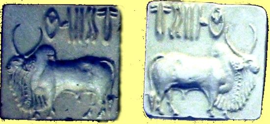 seals from the old Indus civilization in todays Pakistan area