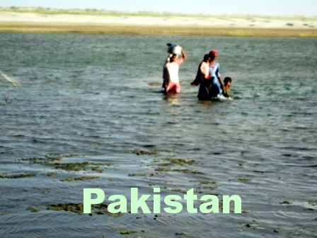 flood in Pakistan, humans die, neep help