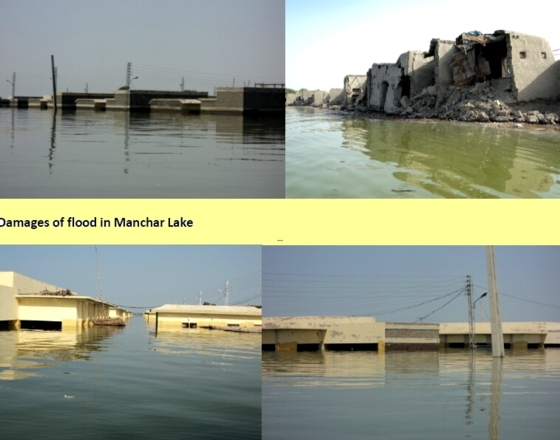 BSB member Zudeda normally protects and restores the Indus Delta. Now he tries to help flood victims. The Indus has flooded big parts of Pakistan