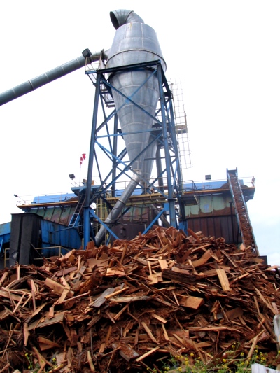 tree destroyed,  no oxygen production, release of carbon dioxide