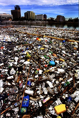 Garbage does not make Earth beautiful. What you see is not all trash, a contaminated dirty beach: many things are resources = recyclables that should be recycled, re-used, to lower land pollution, air pollution and to keep earth clean